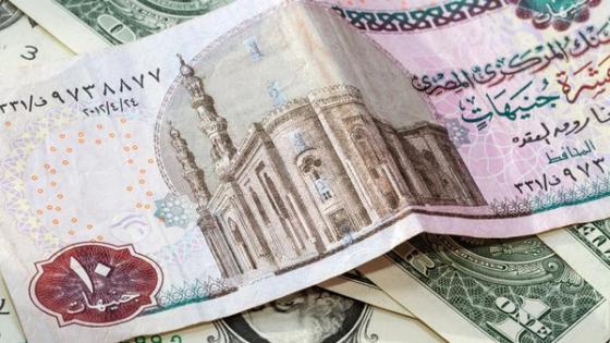 توقعات بخفض الجنيه المصري أمام الدولار لـ12 جنيها