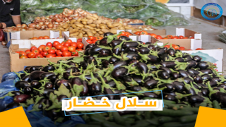 استمرار توزيع قسائم شرائية وطرود غذائية و سلال خضار الي 30 ألف أسرة مستفيدة من شيكات الشؤون الاجتماعية