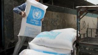 رابط تسجيل بكونة الوكالة الأونروا