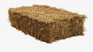 وفاة عامل قضة علية كومة قش