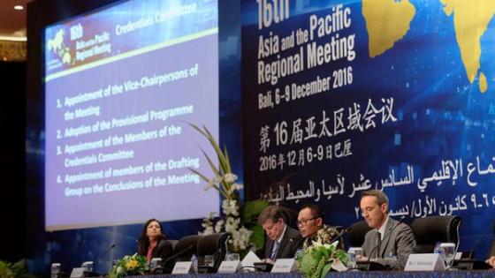 مؤتمر العمل الآسيوي يفتتح بمشاركة عربية قوية