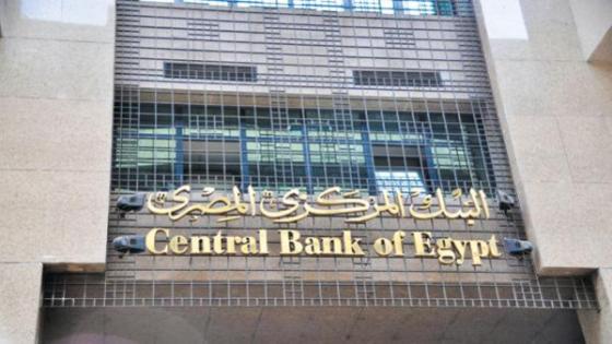 مسؤول: 9 مليارات دولار تدفقات على بنوك مصر منذ التعويم