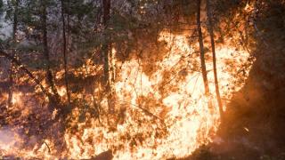 إخماد كافة الحرائق في إسرائيل