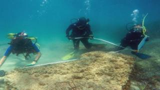 تونس.. العثور على آثار رومانية غمرتها موجة تسونامي