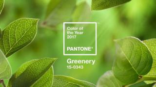 هذا هو لون “بانتون” الخاص بالعام 2017