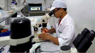 دراسة: فيروس زيكا يمكن أن يدمر ذاكرة البالغين