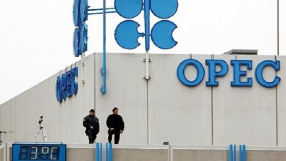 أوبك: الاتفاق المحتمل بين منتجي النفط قد يبرم لمدة عام