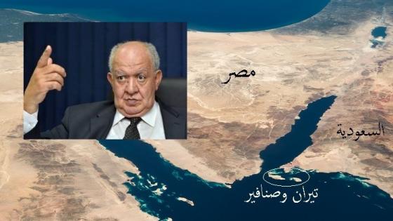 هيئة قضايا الدولة المصرية: لجوء السعودية للتحكيم الدولي في قضية صنافير وتيران مصيبة على مصر