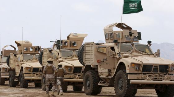 جيبوتي توافق “مبدئيا” على إقامة قاعدة سعودية على أراضيها