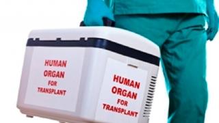 مصر: ضبط أكبر شبكة دولية لتجارة الأعضاء البشرية