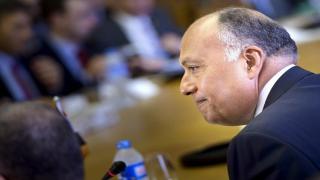 شكري: رياح التغيير في المنطقة أفضت إلى مزيج خطير من التدخلات الأجنبية