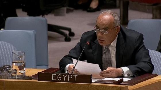 مصر في مجلس الأمن: نعارض الاتهامات الجزافية للحكومة السورية