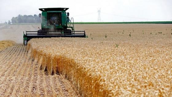 صحيفة بريطانية: ازدهار قطاع الزراعة في روسيا رغم العقوبات