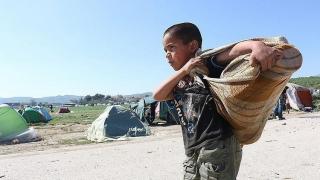 “يوروستات”: 63 ألف طفل تقدموا بطلب الحماية في الاتحاد الأوروبي