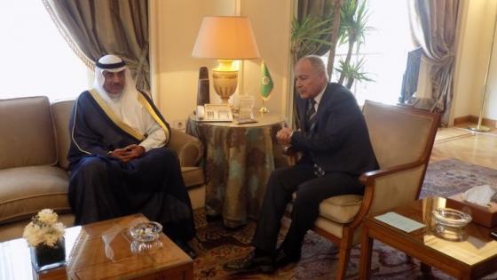 أبو الغيط يؤكد دعمه للوساطة الكويتية وتطلعه لتحقيق انفراج في الأزمة الخليجية