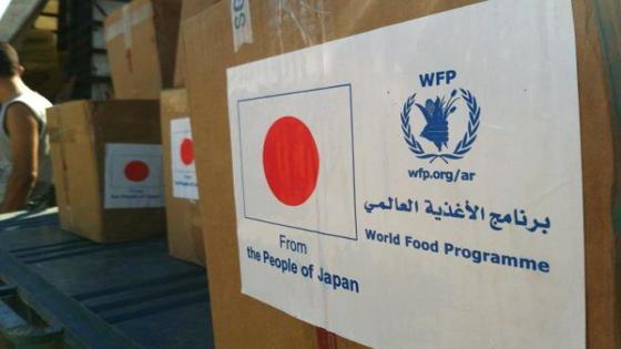 رابط تسجيل أسماء جديدة في كابونة برنامج الغذاء العالمي WFP لسكان غزة