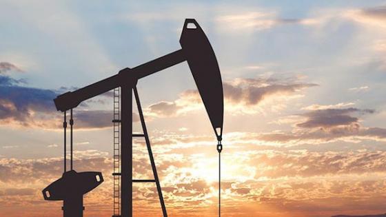 النفط يهبط بسبب مخزونات أميركية قياسية مرتفعة