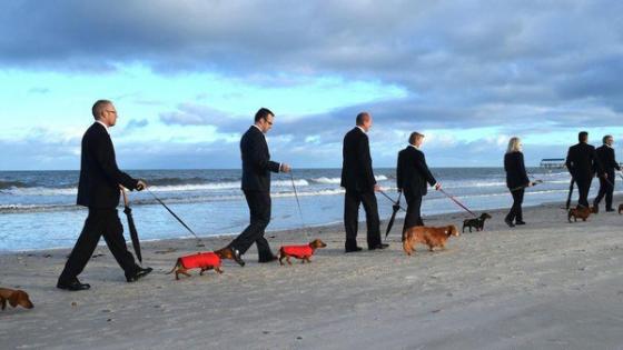 مسيرة “فنية” على الشاطئ بصحبة الكلاب.. فما قصتها؟!