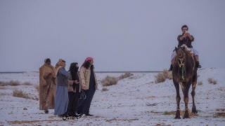 هكذا وثق المصورون الثلاثاء الأبيض بالشمال السعودي