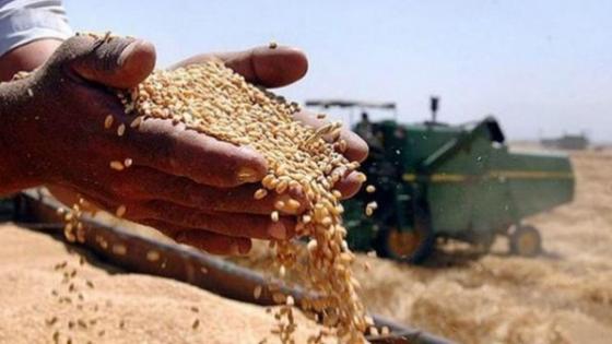 البحرين تطرح مناقصة عالمية لشراء 25 ألف طن من القمح