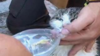 إيطاليا..”بييترو” و”جورجينا” علقا 16 يوماً تحت الأنقاض