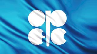 بلومبرغ: توقعات بعدم التوصل إلى اتفاق في اجتماع أوبك