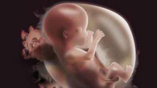 صدق أو لا تصدق.. الأجنة تميز بين اللغات!