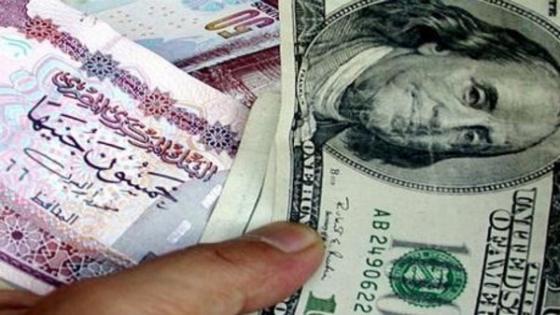 الجارحي: مصر تخفض الدولار الجمركي إلى 16.25 جنيه