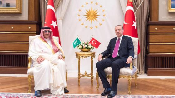 ولي العهد السعودي يبحث مع أردوغان قضايا المنطقة