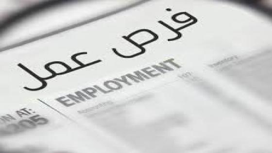 فتح باب التسجيل لبطالات مكتب العمل و الـ UNDP لمد ثلاثة او ستة اشهر براتب شهري الان رابط تسجيل عن طريق وزارة العمل