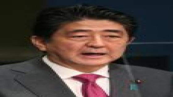 رئيس وزراء اليابان يرسل قربانا إلى مزار ياسوكوني