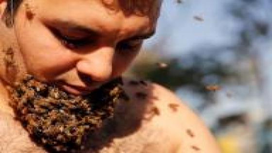 شاب مصري يربي “لحية من النحل” للترويج لفوائده