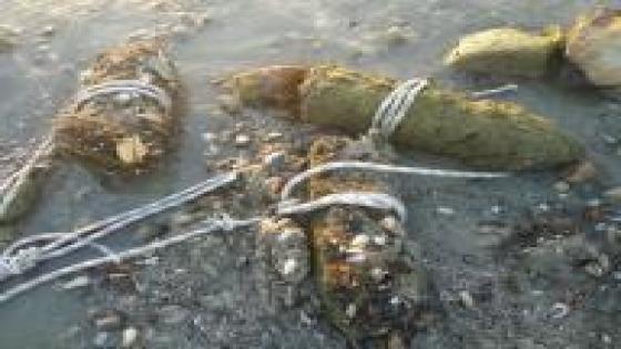 العثور على قذائف مدفعية من الحرب العالمية الأولى ببحيرة طبريا