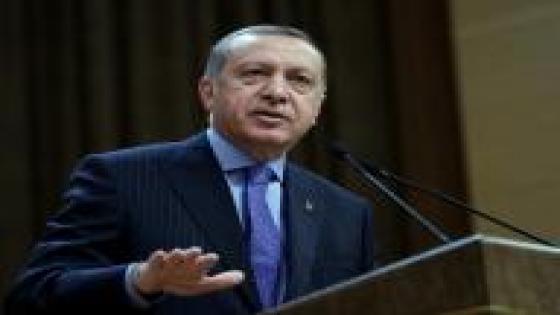 إردوغان يوجه انتقادا شديدا للغرب وحزب كردي يقاطع البرلمان