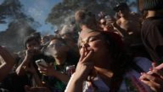 تزايد عدد الأمريكيين الذين يدخنون الماريوانا نتيجة تراجع عدد الأشخاص الذين يعتبرونها خطيرة