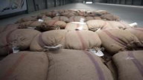 مصر تسعى لشراء كمية غير محددة من القمح للشحن من 26 سبتمبر إلى 5 أكتوبر