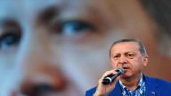 إردوغان: المعارضة السورية المدعومة من تركيا قد تتقدم جنوبا