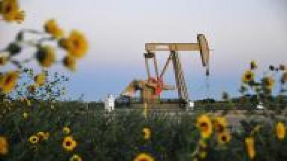 النفط يفقز بعد ثالث هبوط أسبوعي غير متوقع للمخزونات الأمريكية
